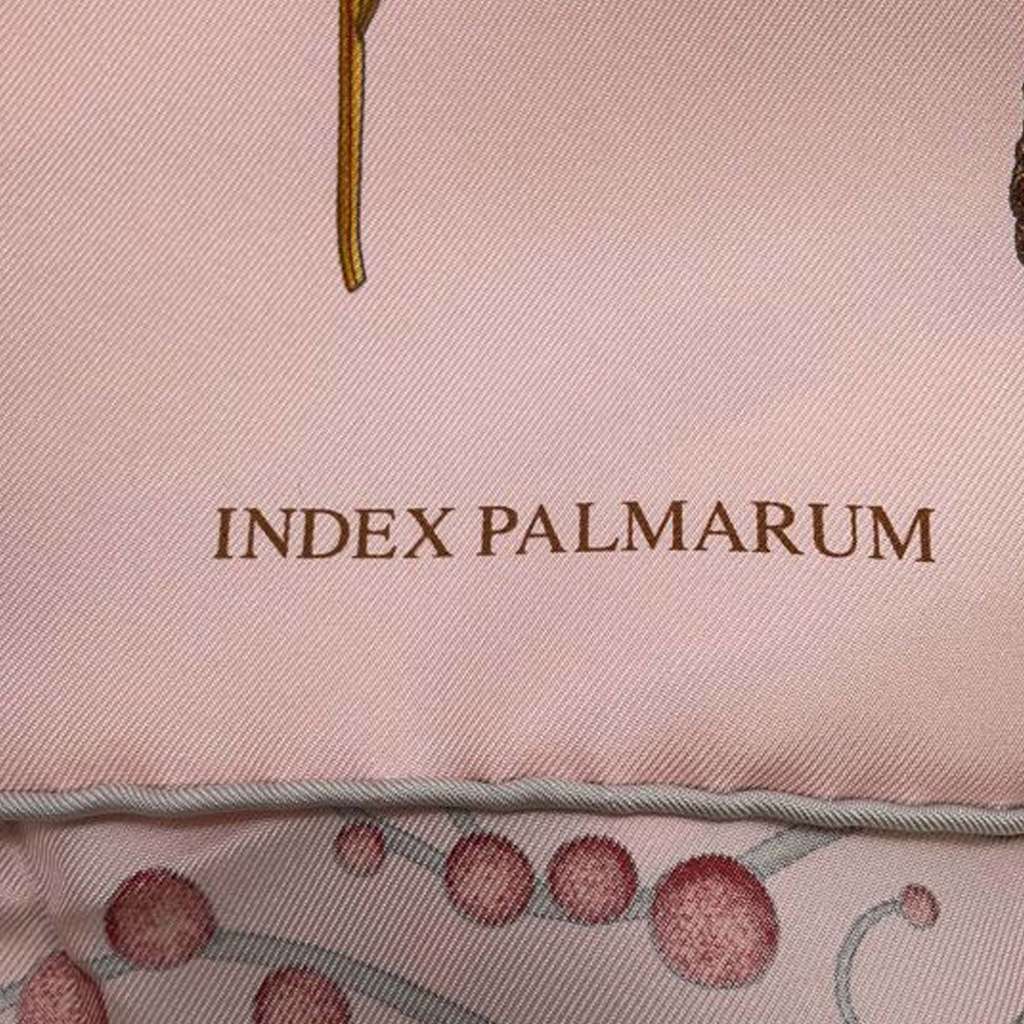 Hermès Index Palmarum Silk Scarf 90 - 2