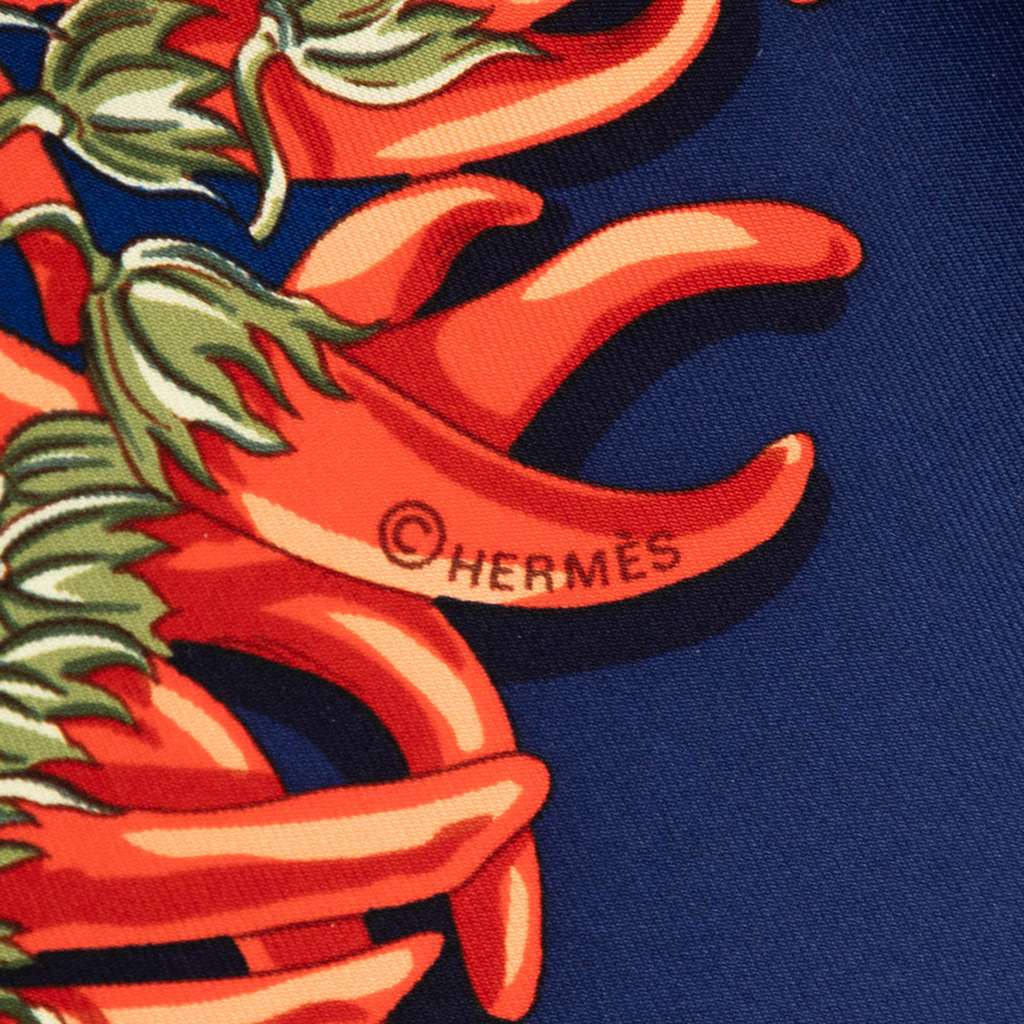 Hermès Aux Pays Des Epices Silk Scarf - 3