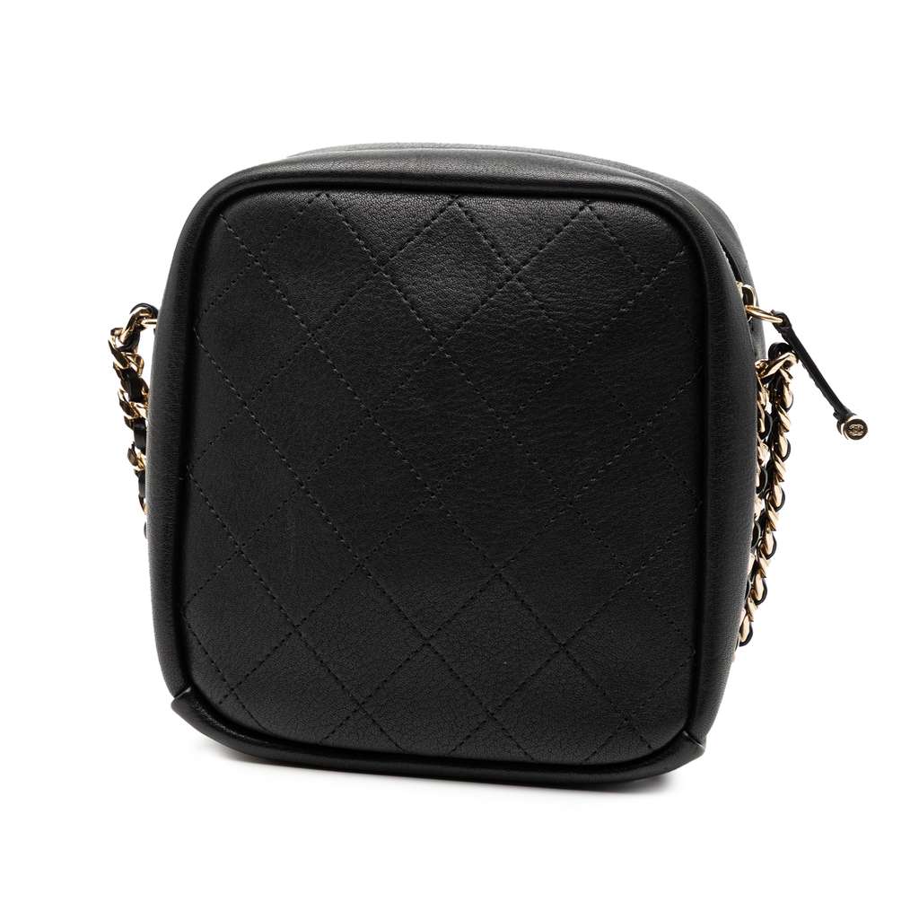 Chanel Stitched Goatskin Casual Trip North South Camera Case - 2