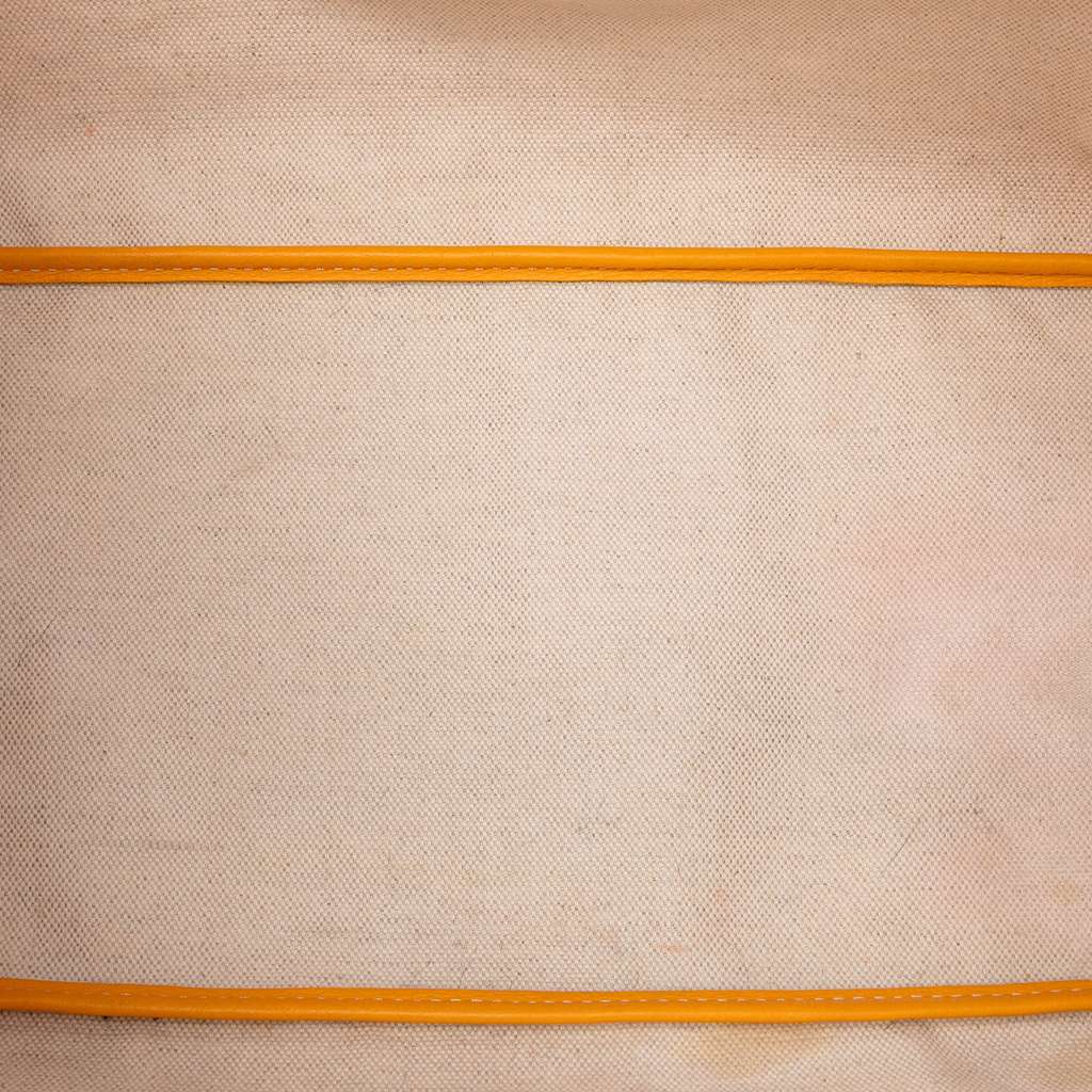 Goyard Goyardine Saint Louis PM - 4