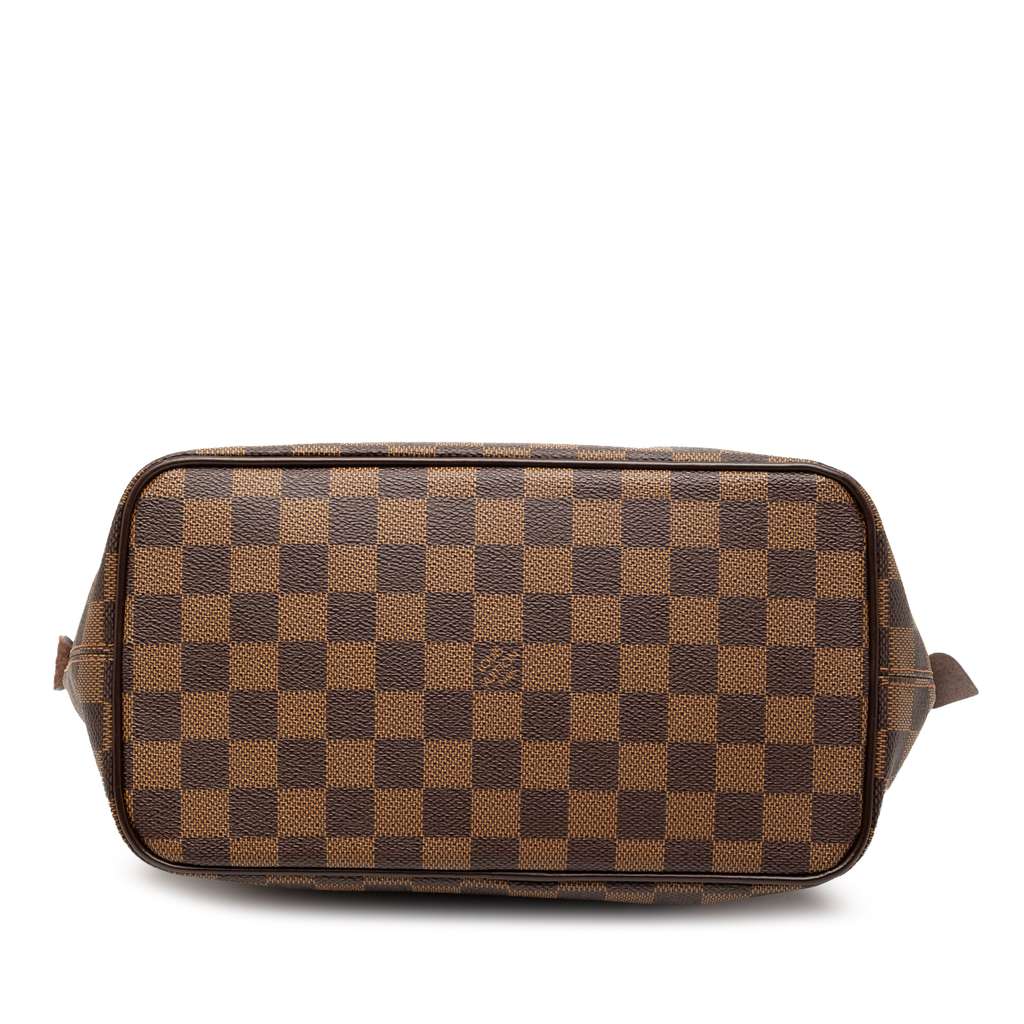 Louis Vuitton Damier Ebene Saleya PM - 3