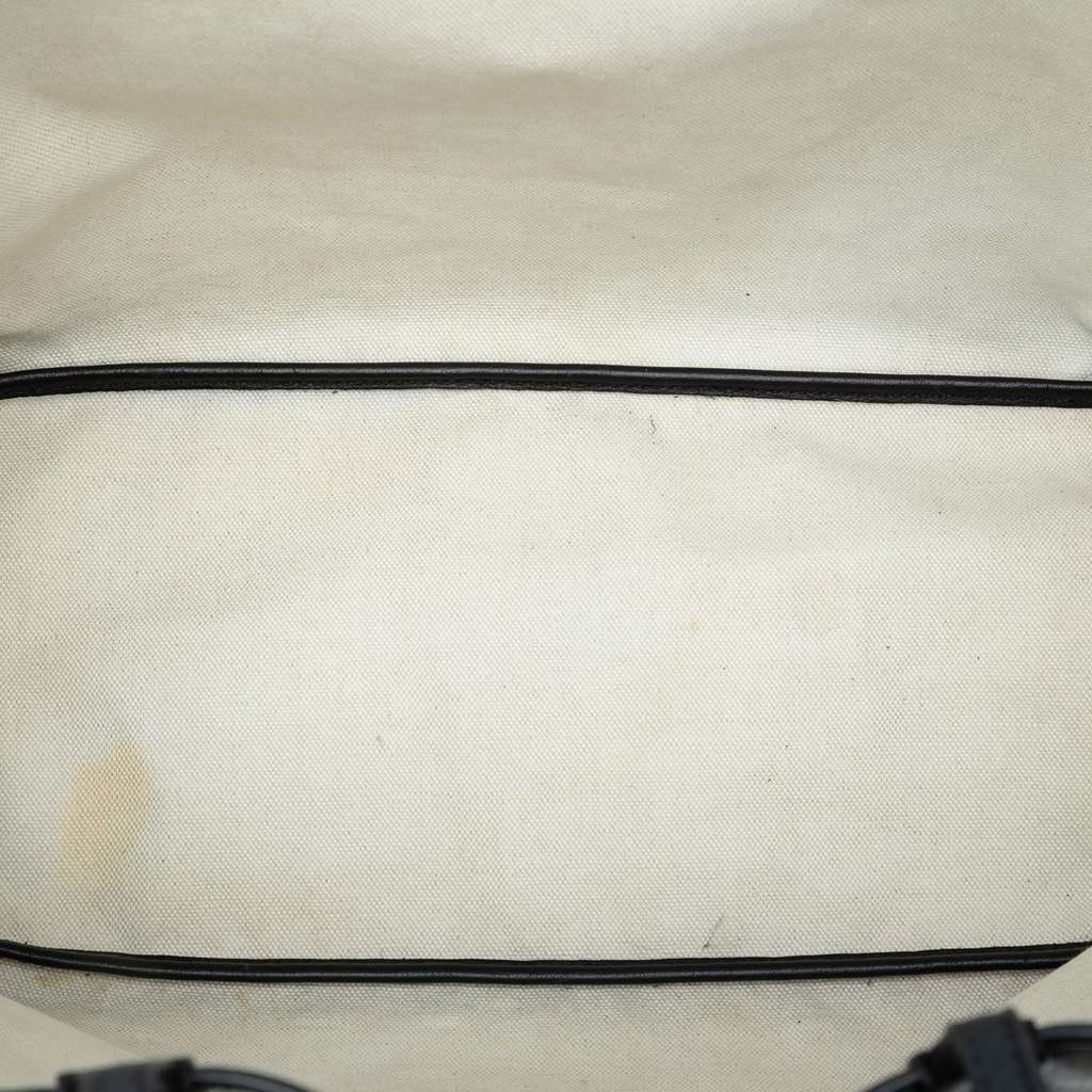 Goyard Goyardine Saint Louis PM - 4