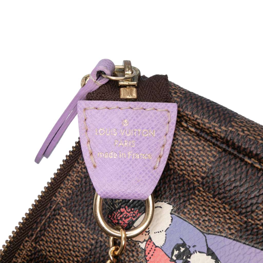 Louis Vuitton Damier Ebene Illustre Mini Pochette Accessories - 5