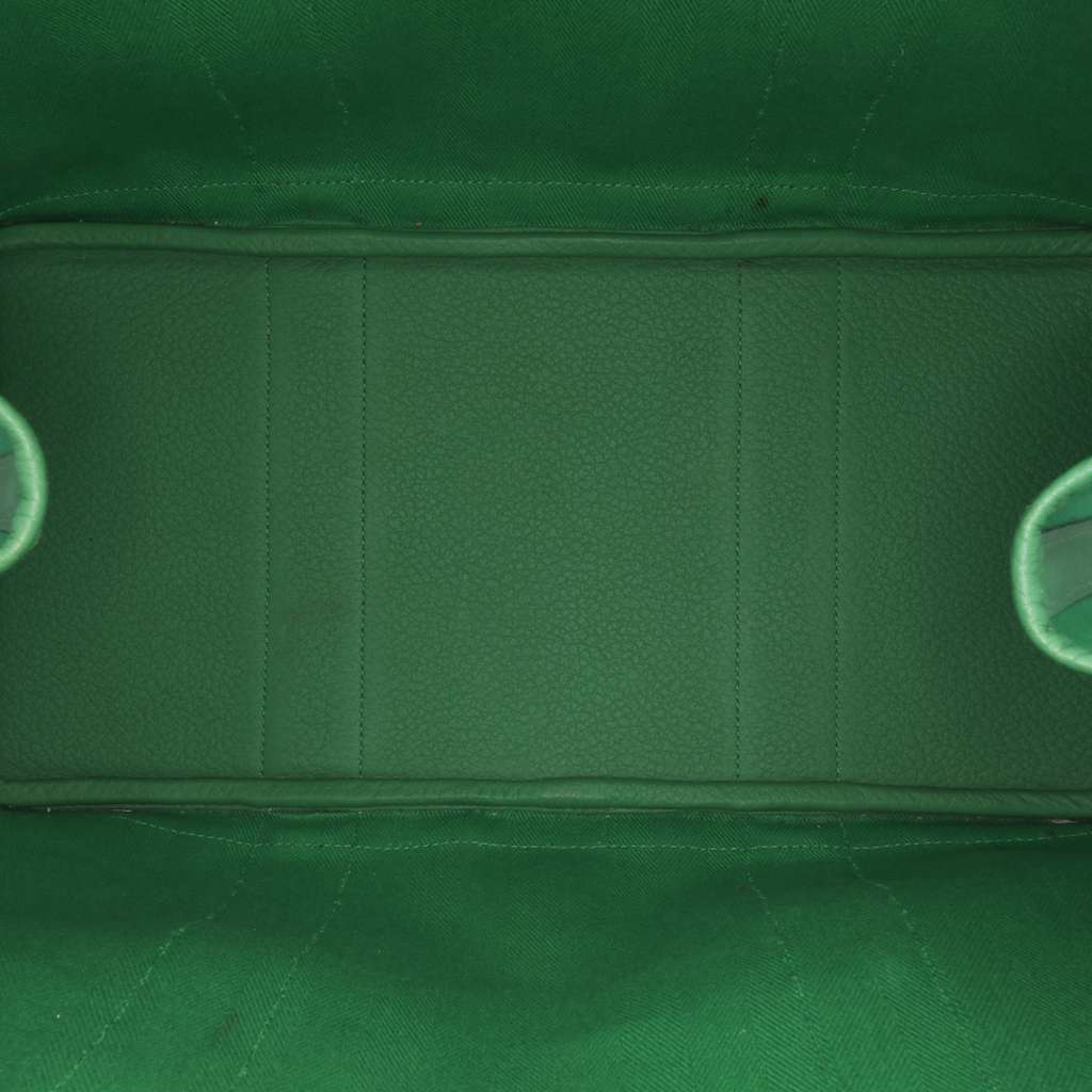 Hermès Toile and Negonda Garden Party 36 - 4