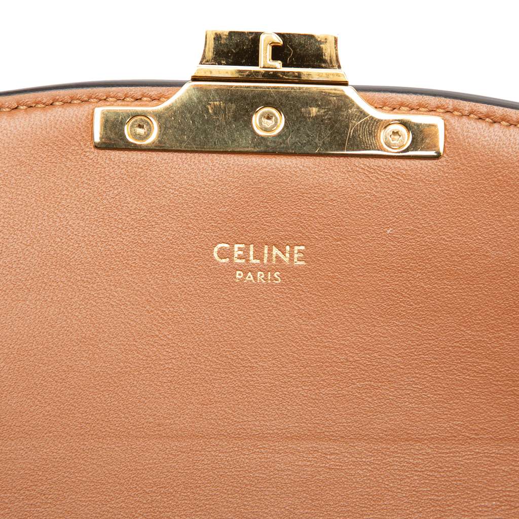Celine Teen Canvas and Calfskin Triomphe Crossbody - 5