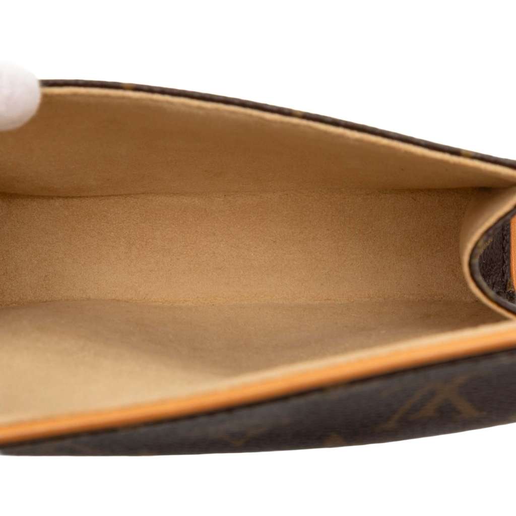 Louis Vuitton Monogram Pochette Florentine - 4