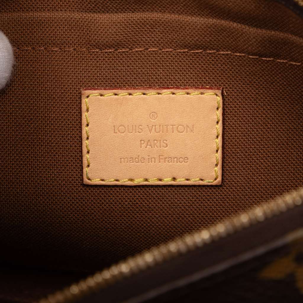 Louis Vuitton Monogram Multi Pochette Accessoires - 5