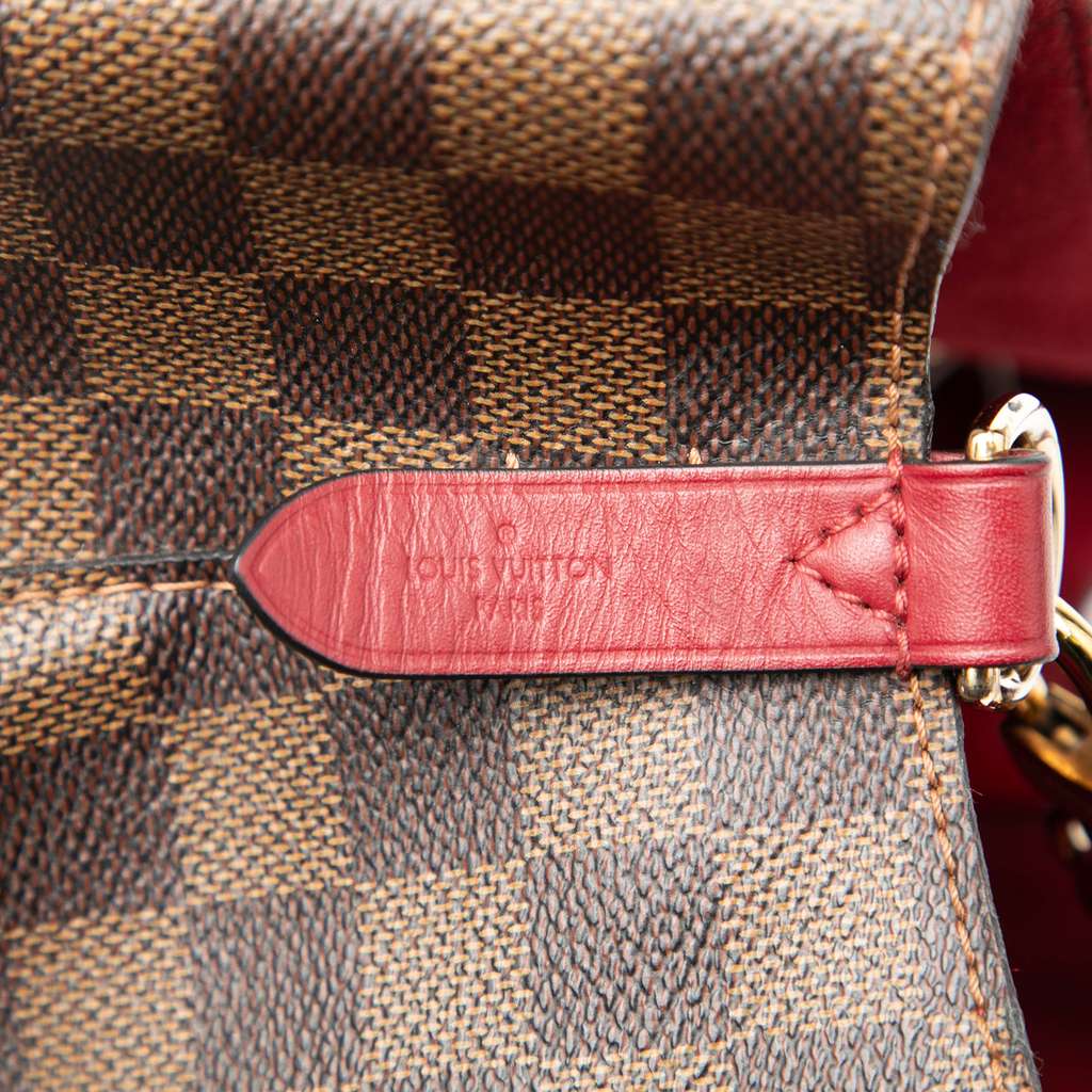 Louis Vuitton Damier Ebene Neonoe MM - 5