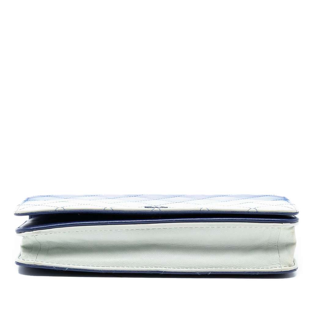 Chanel Ombre Lambskin Degrade Wallet On Chain - 3