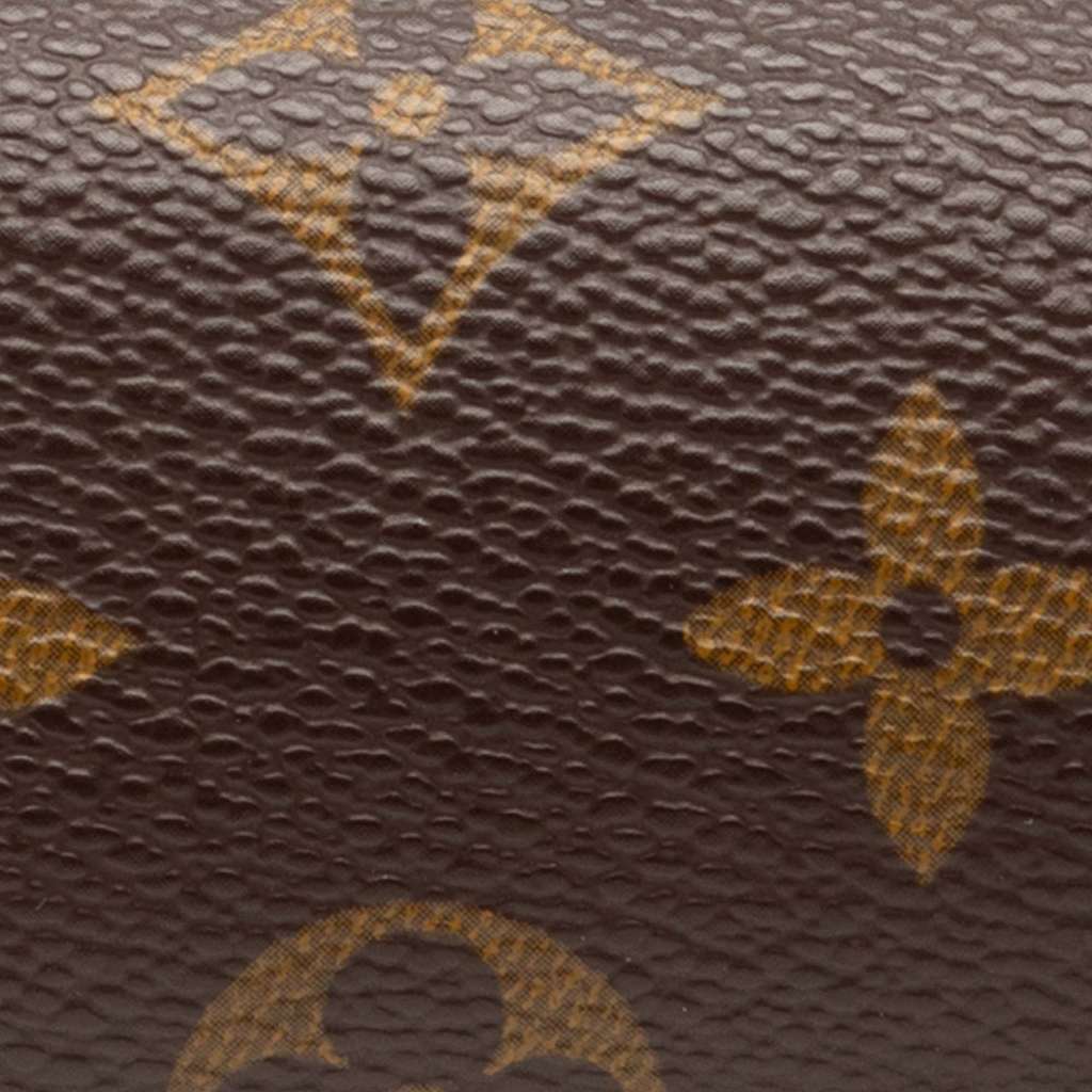 Louis Vuitton Monogram Papillon Pochette - 5