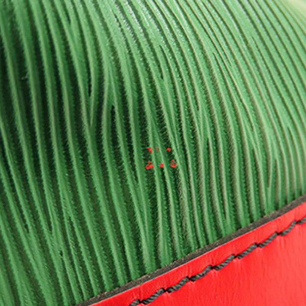 Louis Vuitton Epi Petit Bicolor Noe - 4