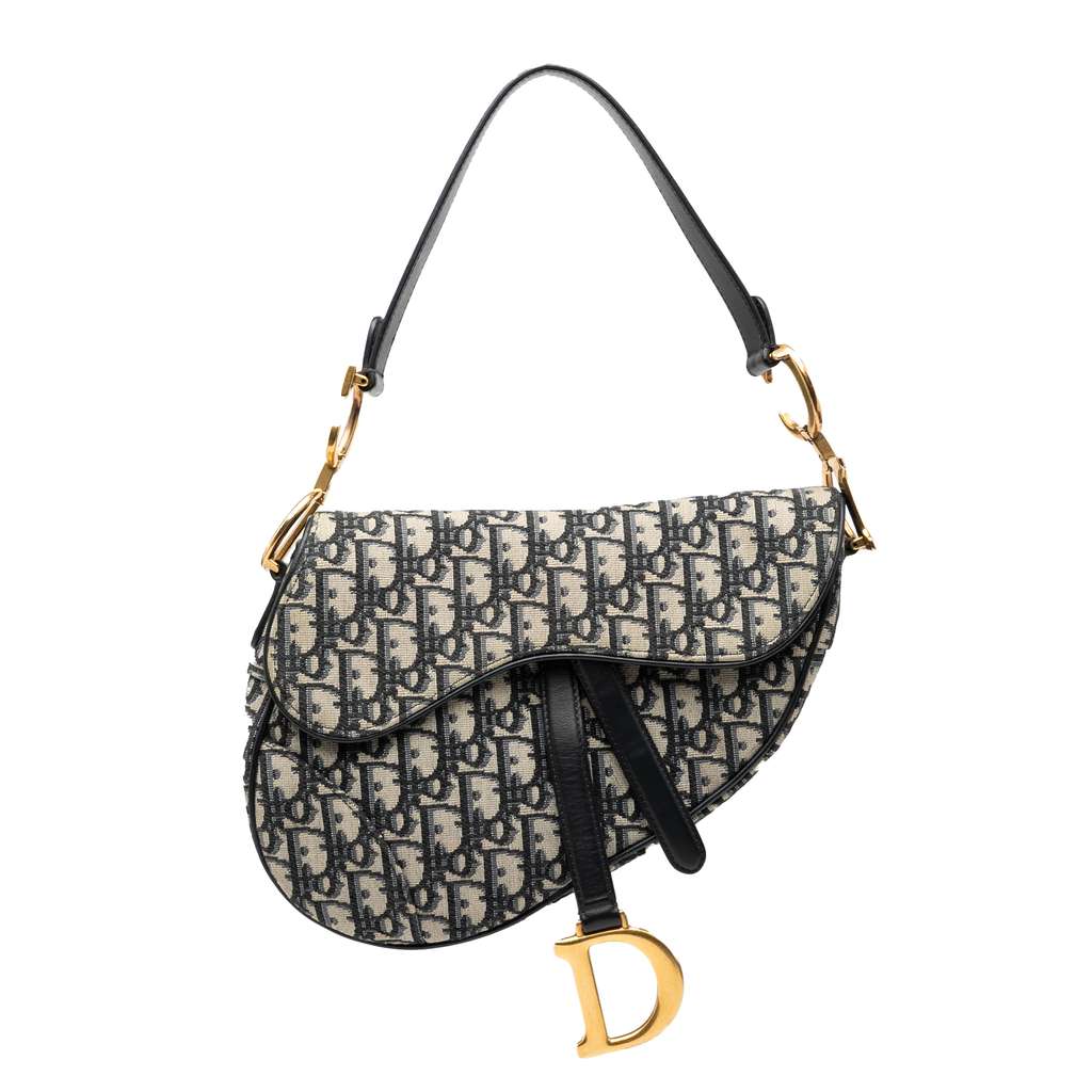 Dior Oblique Canvas Saddle Bag