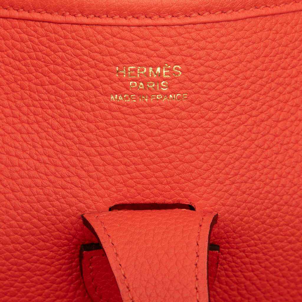 Hermès Clemence Evelyne III 29 - 5