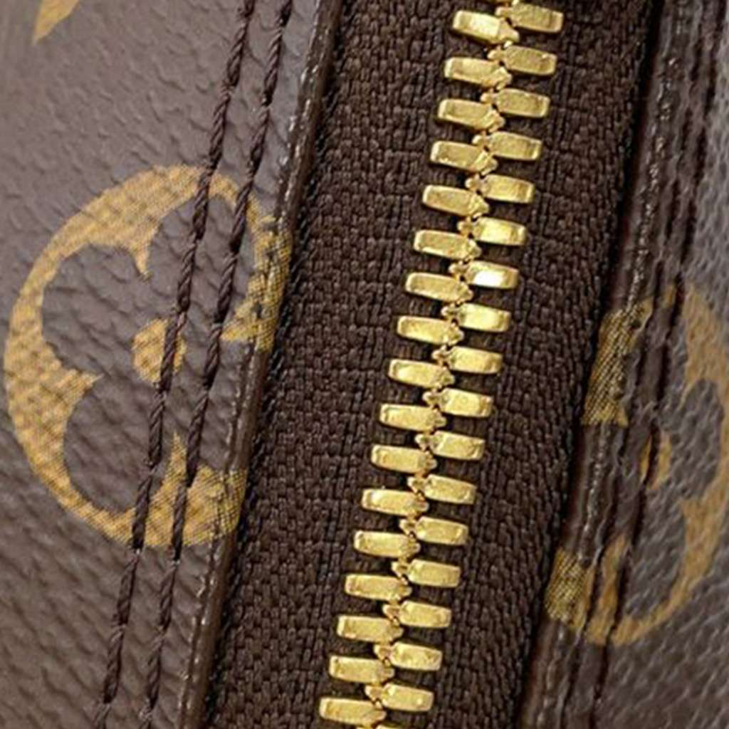 Louis Vuitton Monogram Alma BB - 5