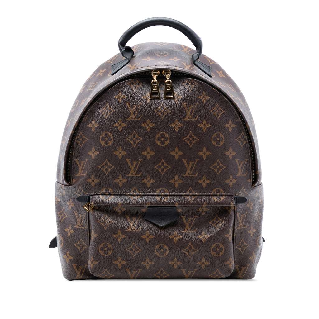 Louis Vuitton Monogram Palm Springs MM