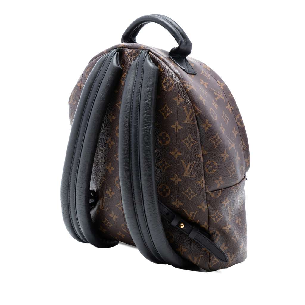 Louis Vuitton Monogram Palm Springs MM - 2