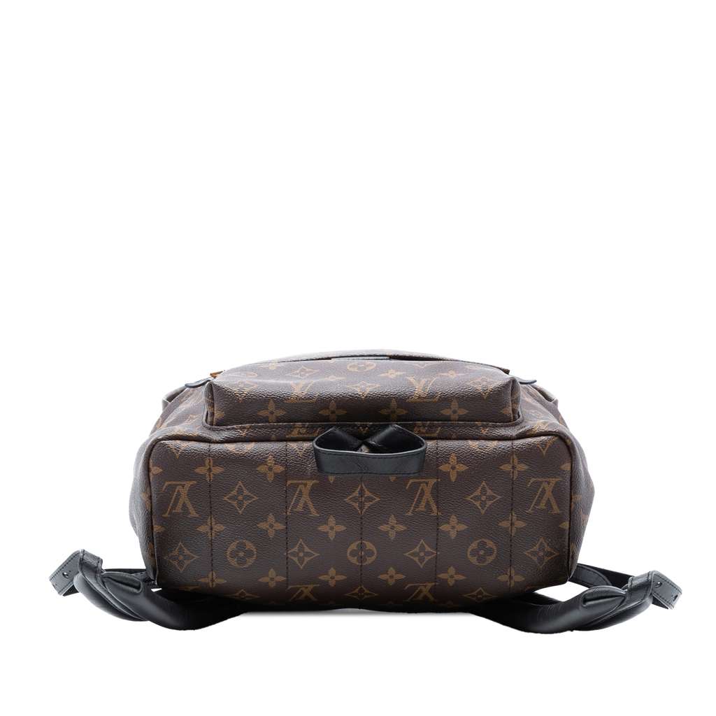 Louis Vuitton Monogram Palm Springs MM - 3