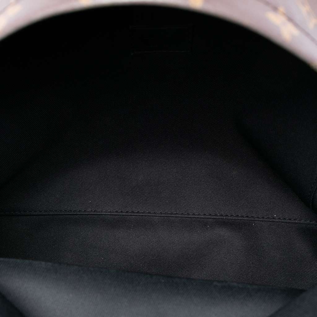 Louis Vuitton Monogram Palm Springs MM - 4