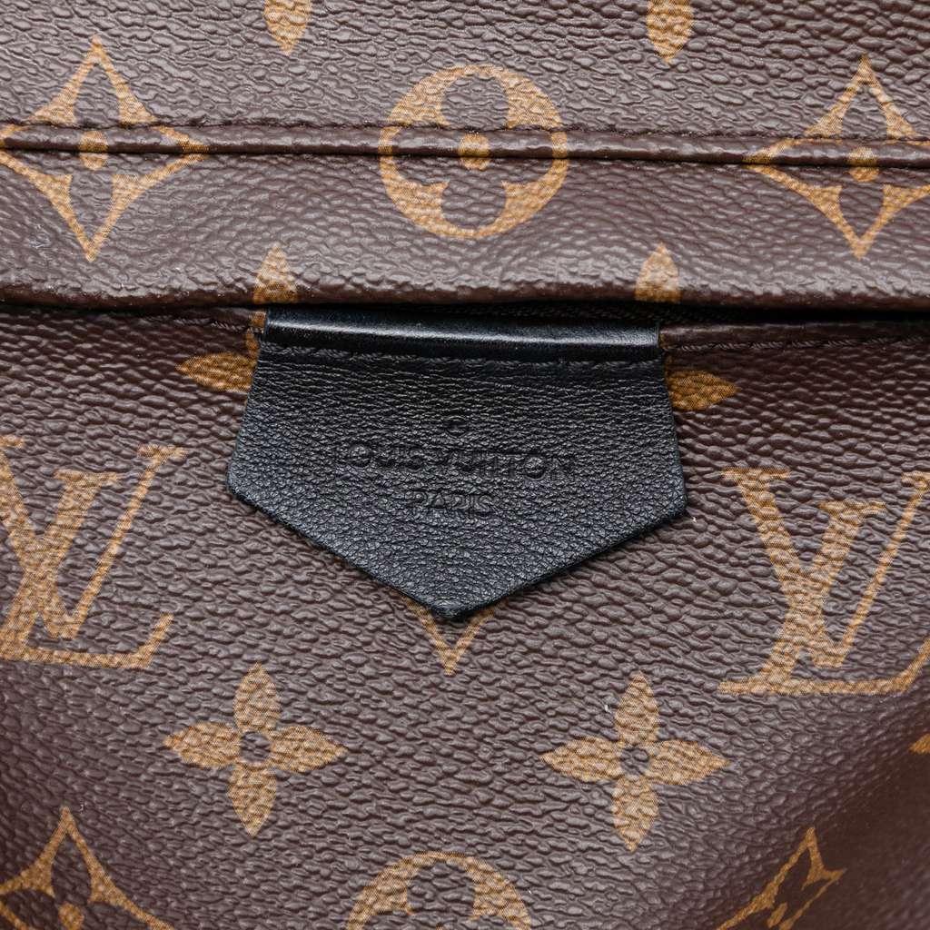 Louis Vuitton Monogram Palm Springs MM - 5