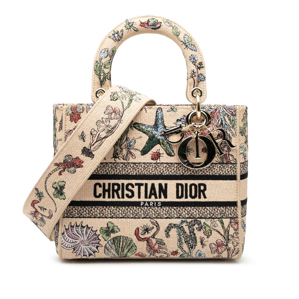Dior Medium Embroidered Canvas Lady D Lite