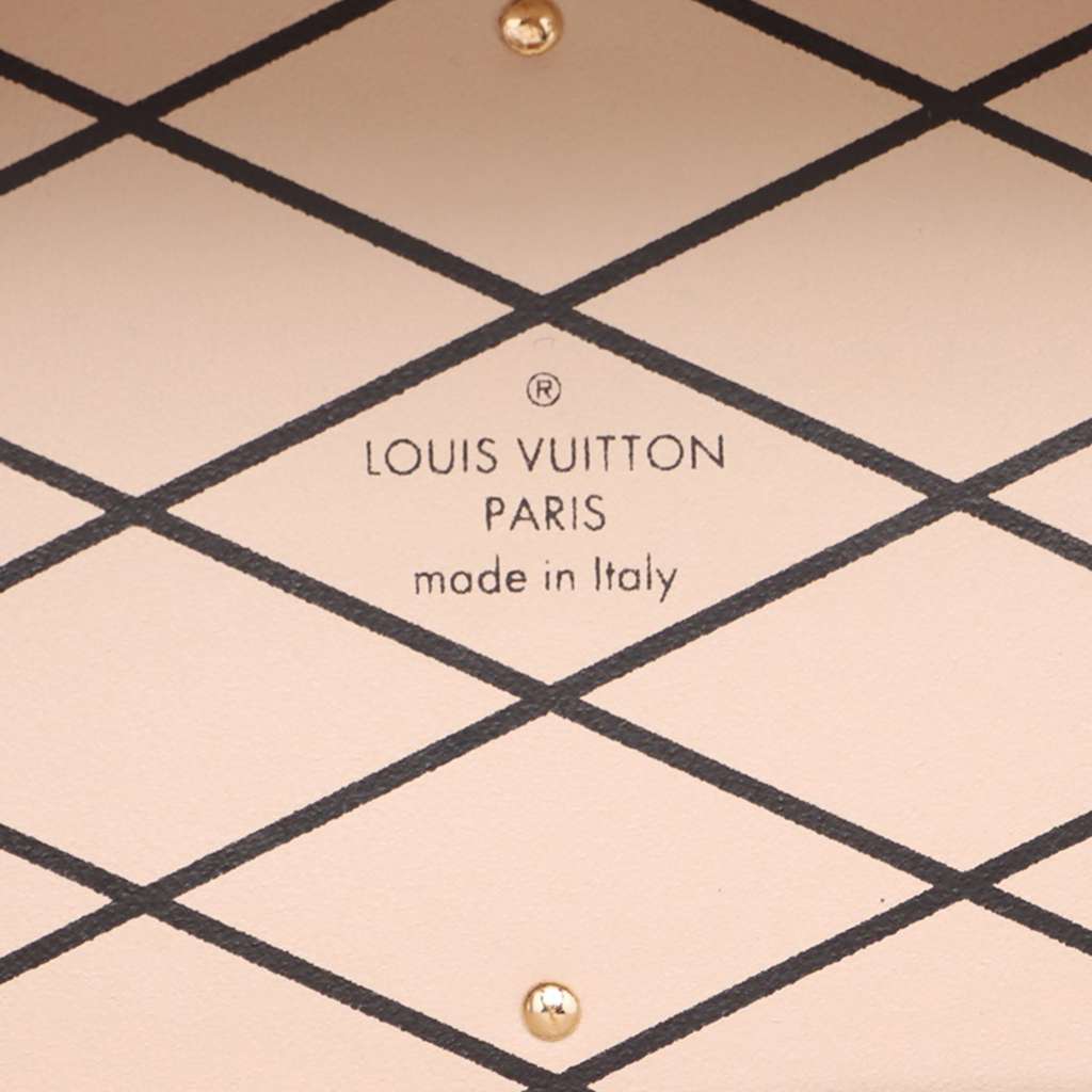 Louis Vuitton Monogram Camera Box Colonne - 4