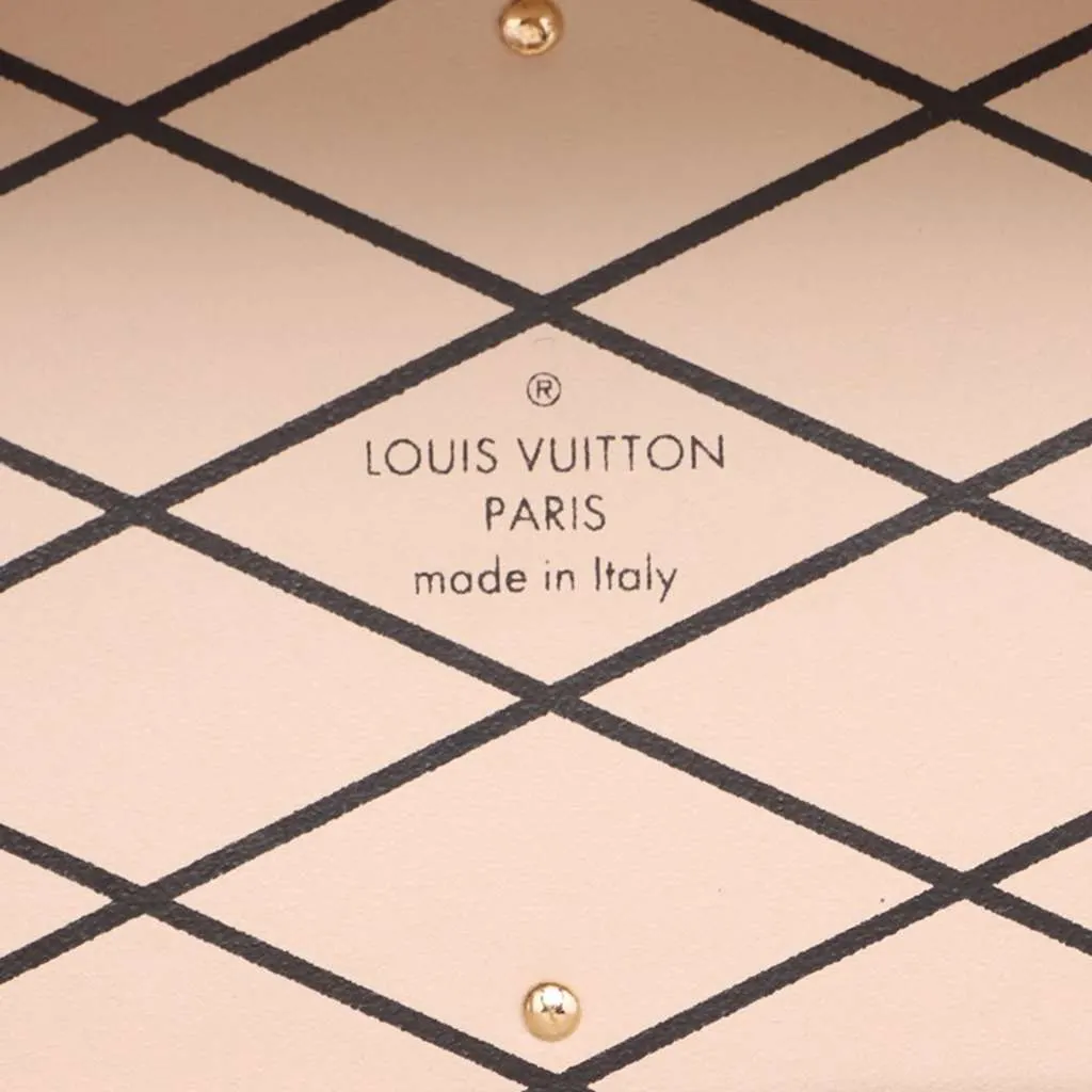 Louis Vuitton Monogram Camera Box Colonne Brown Good - Model View