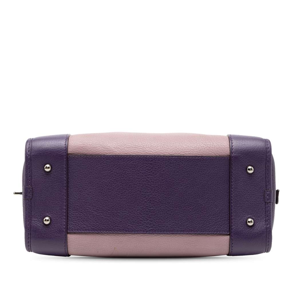 Loewe Tricolor Goatskin Amazona 28 - 3