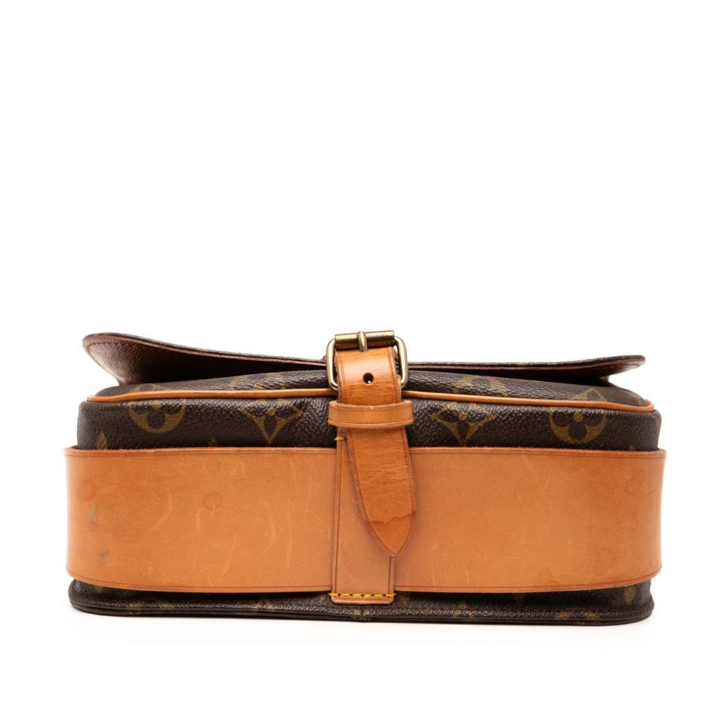 Louis Vuitton Monogram Cartouchiere MM - 3