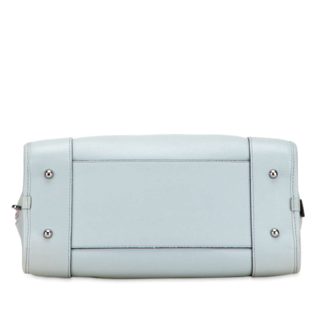 Loewe Limited Edition Leather Amazona 28 - 3