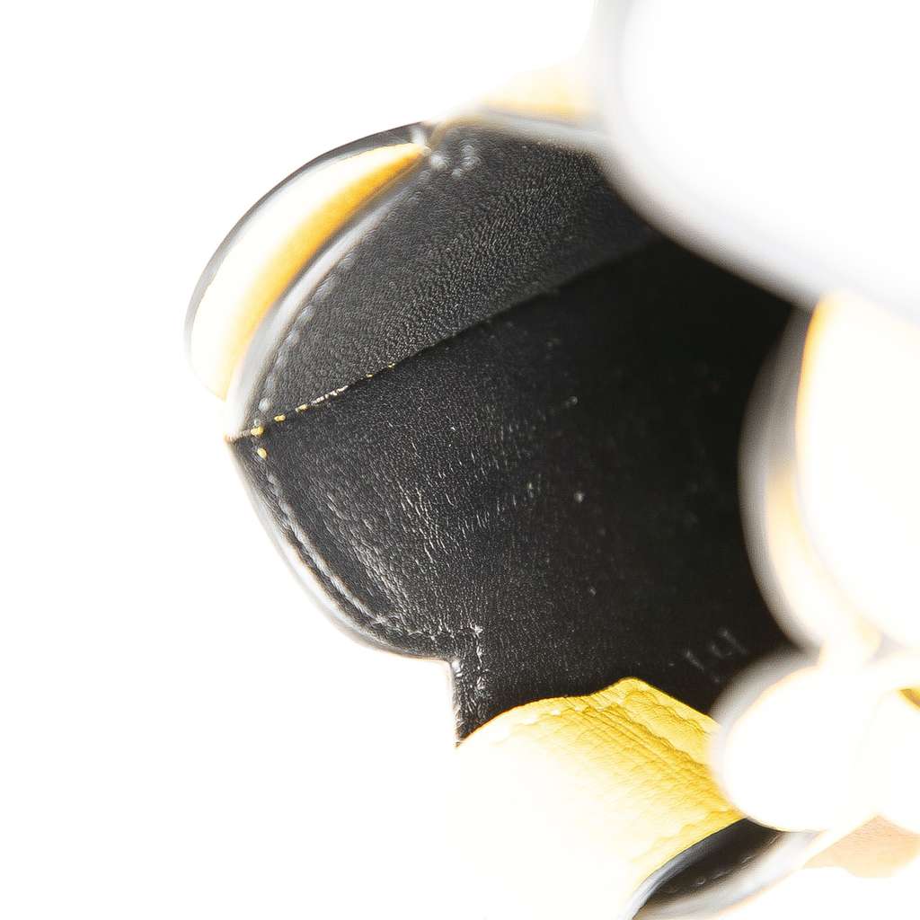 Loewe Leather Elephant Pocket Crossbody - 5