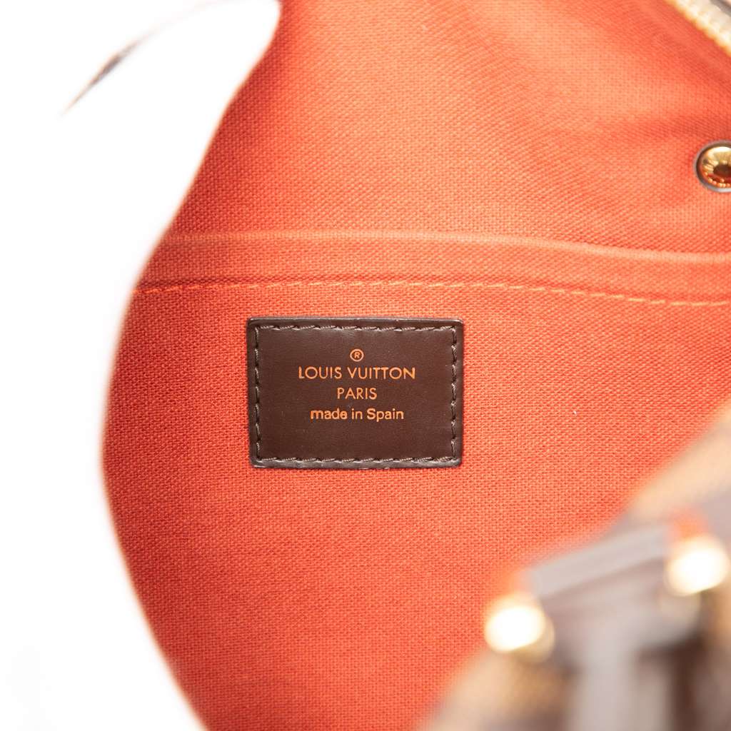 Louis Vuitton Damier Ebene Ribera MM - 5