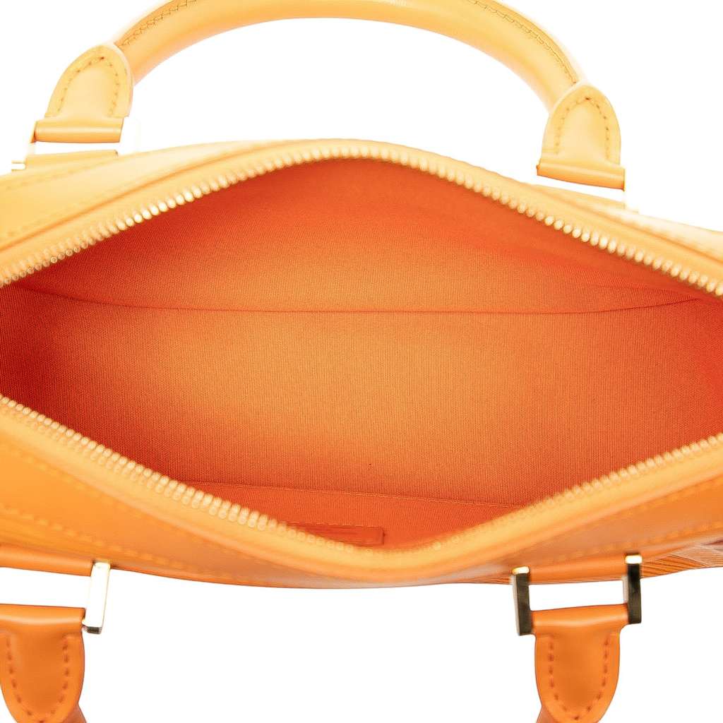 Louis Vuitton Epi Dhanura PM - 4