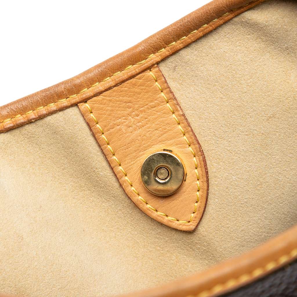 Louis Vuitton Monogram Galliera PM - 5