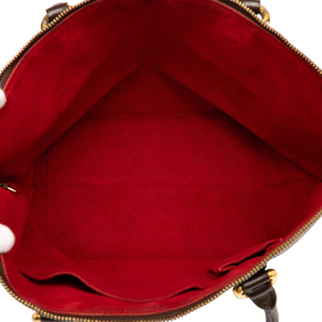 Louis Vuitton Damier Ebene Saleya MM - 4