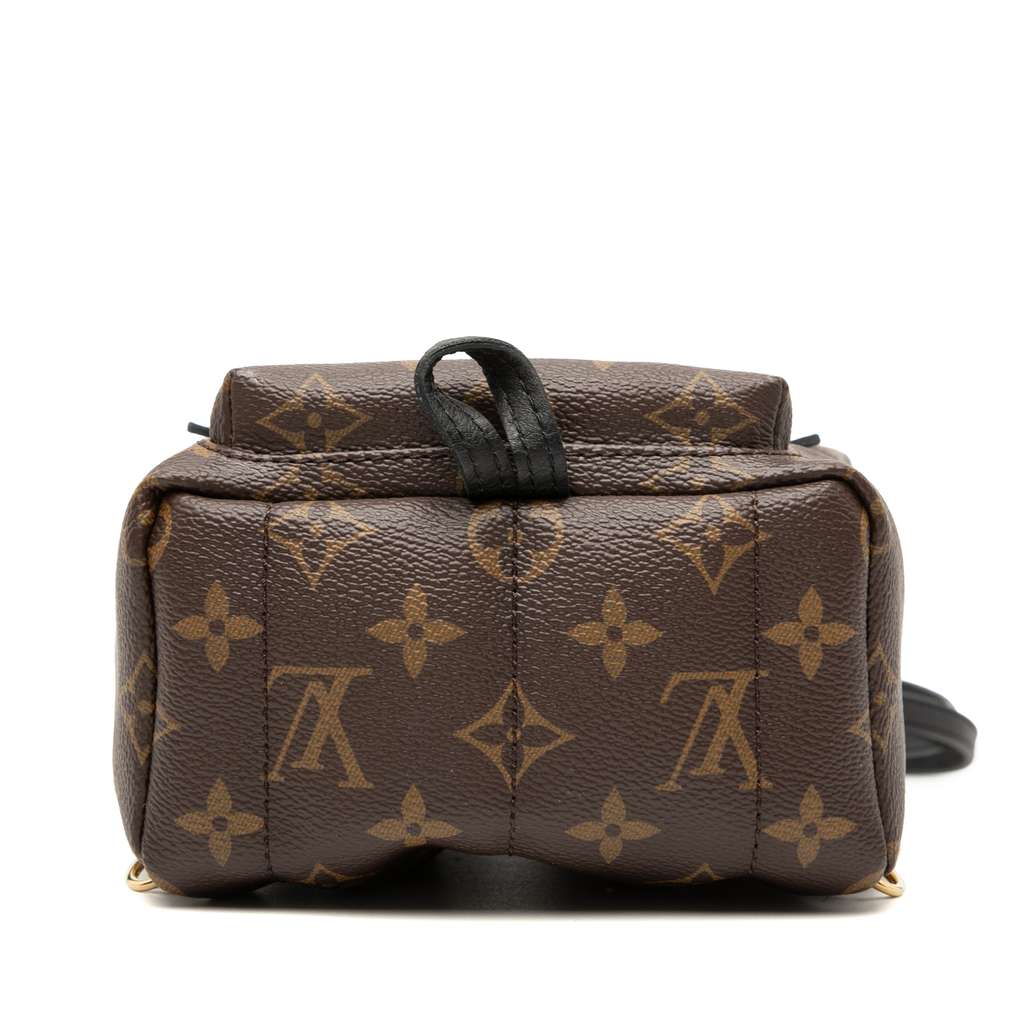 Louis Vuitton Monogram Mini Palm Springs - 3