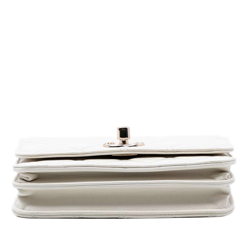 Chanel Mini Quilted Lambskin Trendy CC Wallet On Chain - 3