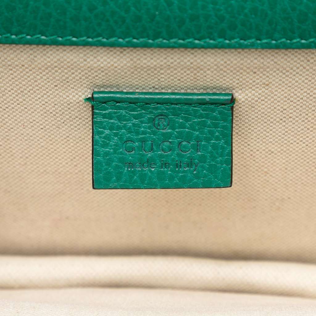 Gucci Small Leather Dionysus Crossbody - 5