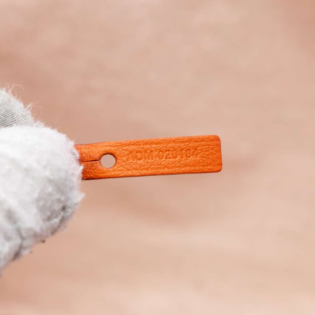 Goyard Goyardine Saint Louis PM - 5