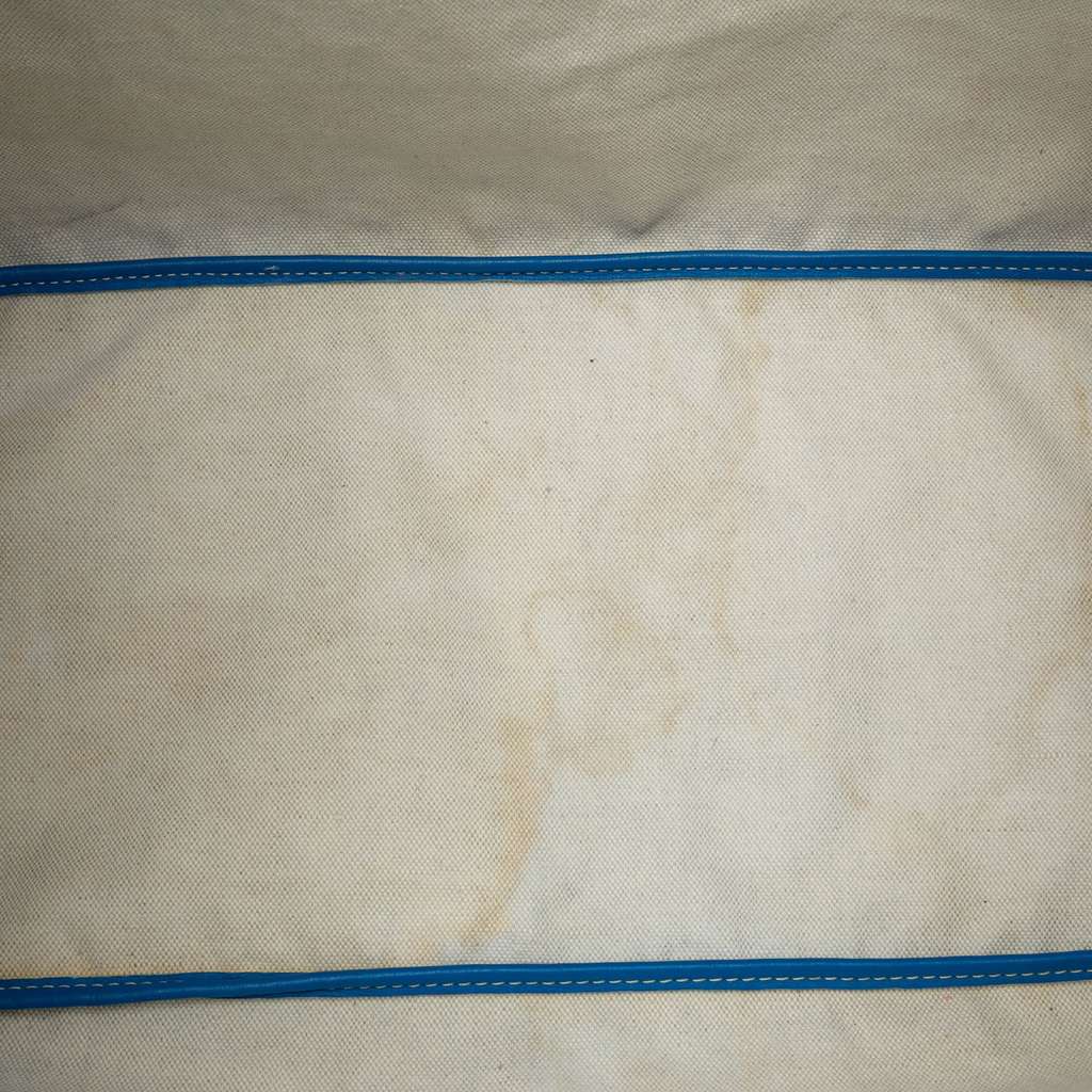 Goyard Goyardine Saint Louis GM - 4