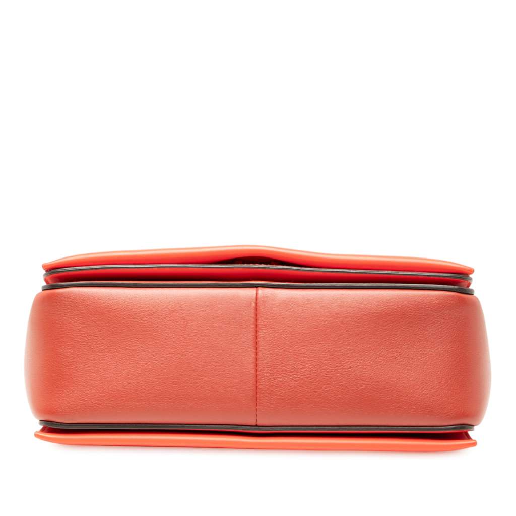 Celine Leather Frame Shoulder Bag - 3