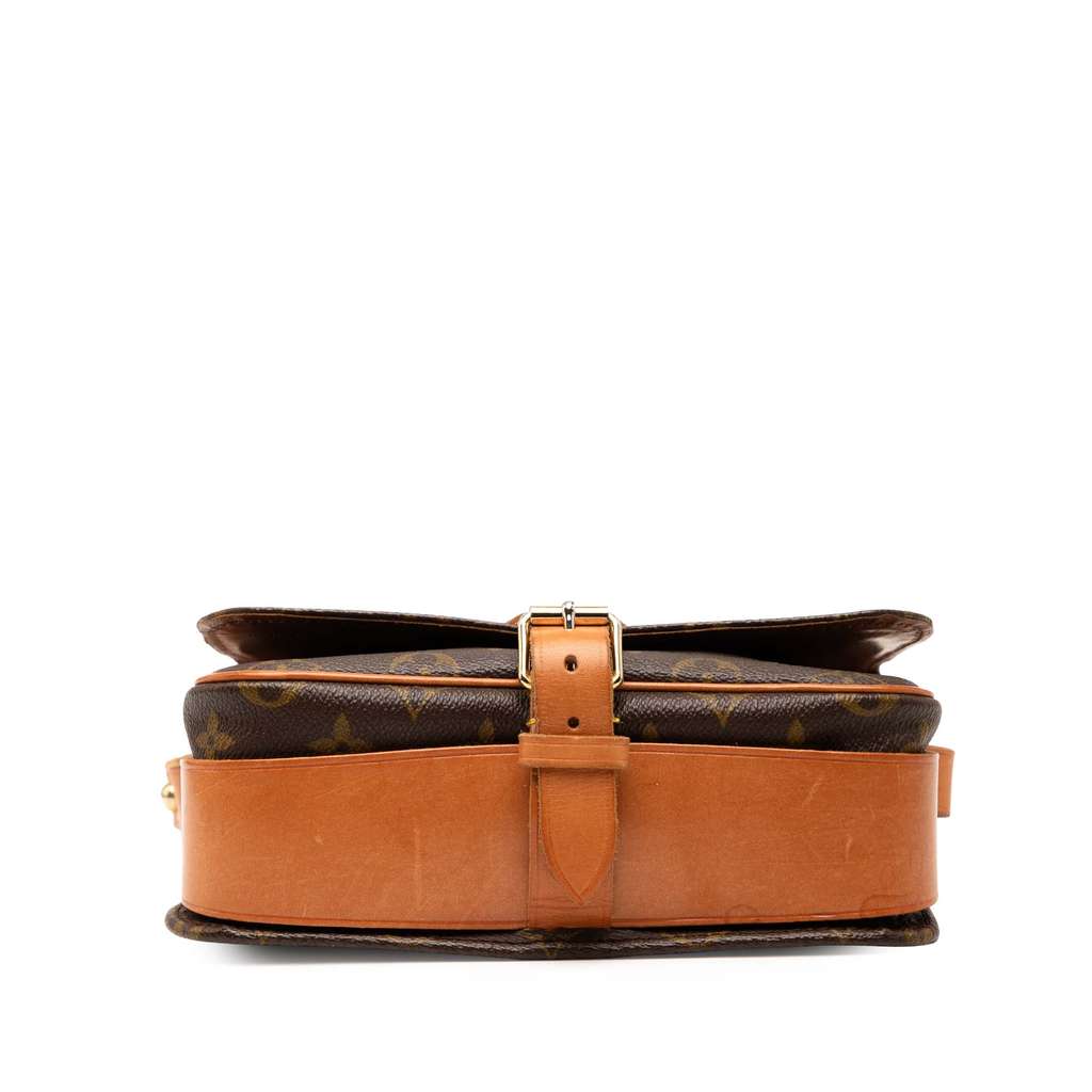 Louis Vuitton Monogram Cartouchiere MM - 3