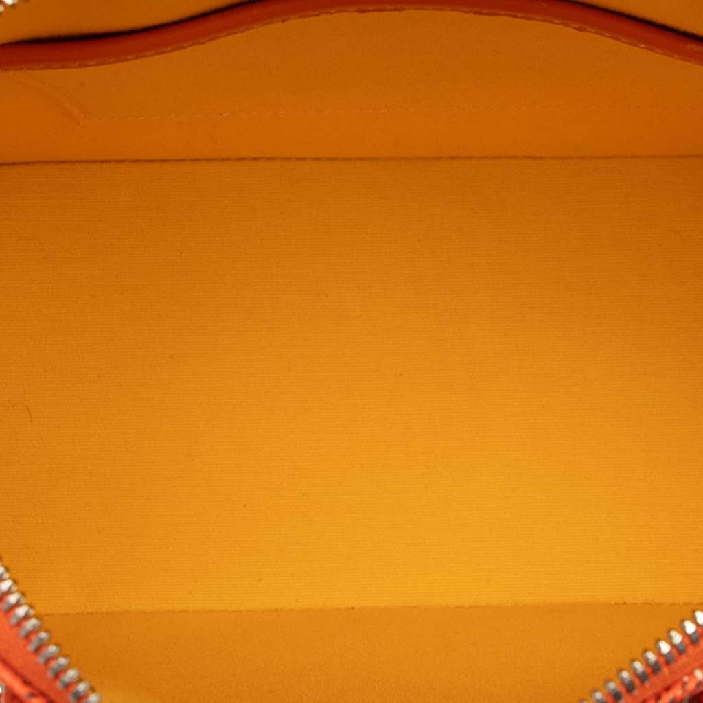 Goyard Goyardine Vendome Mini - 4