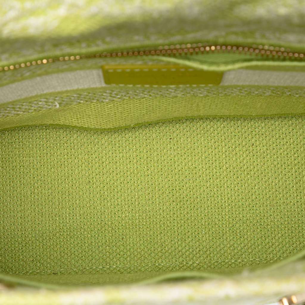 Dior Medium Embroidered Canvas Toile de Jouy Lady D Lite - 4