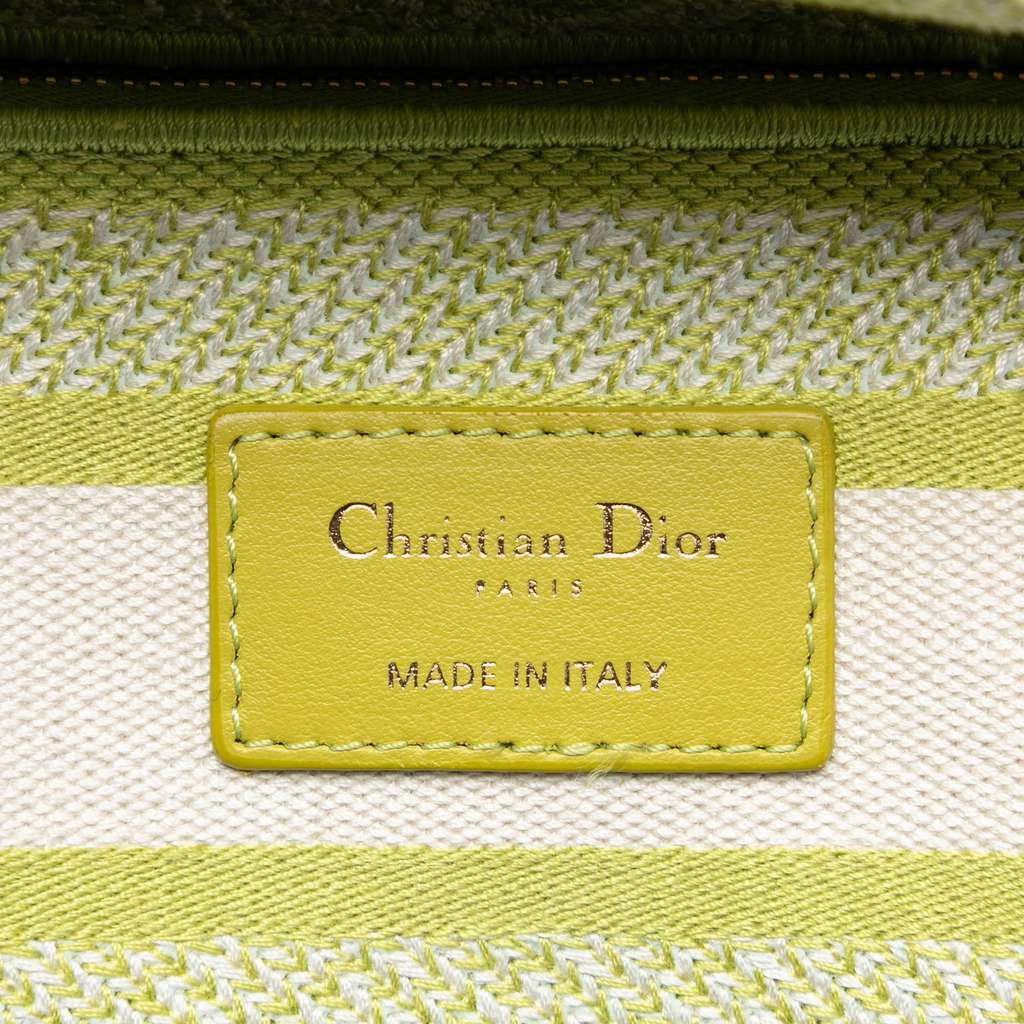 Dior Medium Embroidered Canvas Toile de Jouy Lady D Lite - 5