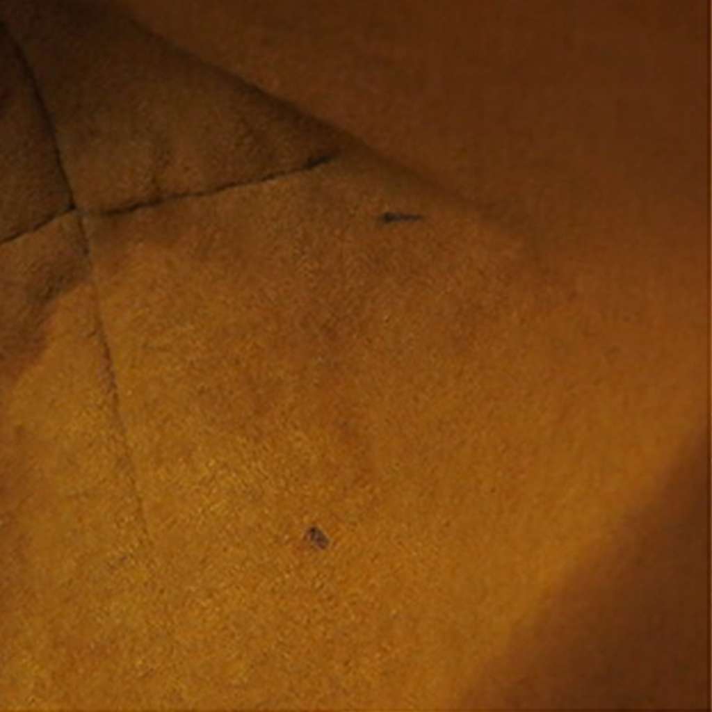 Louis Vuitton Monogram Musette Tango Short Strap - 5