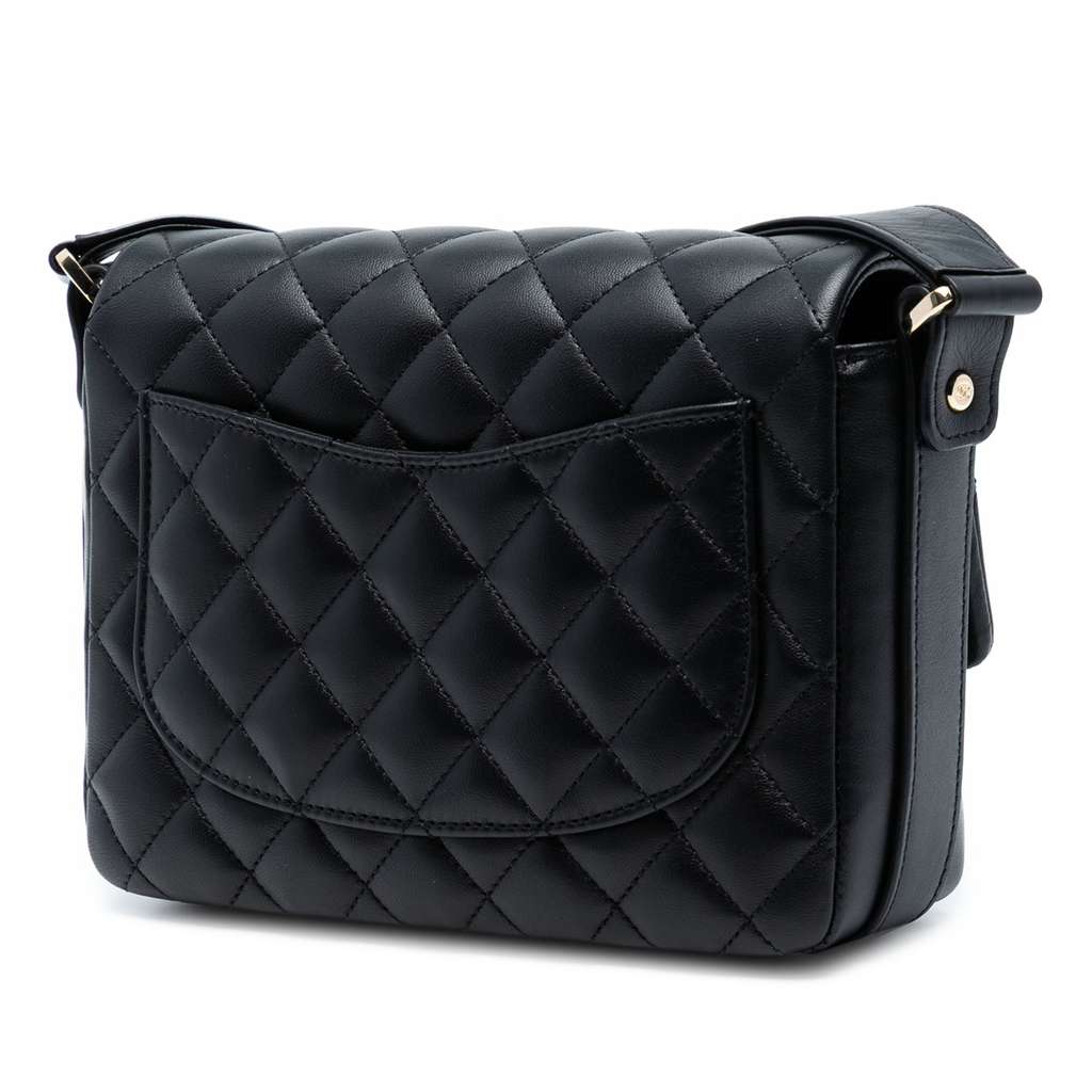 Chanel Quilted Calfskin Bolero de Chanel Flap - 2