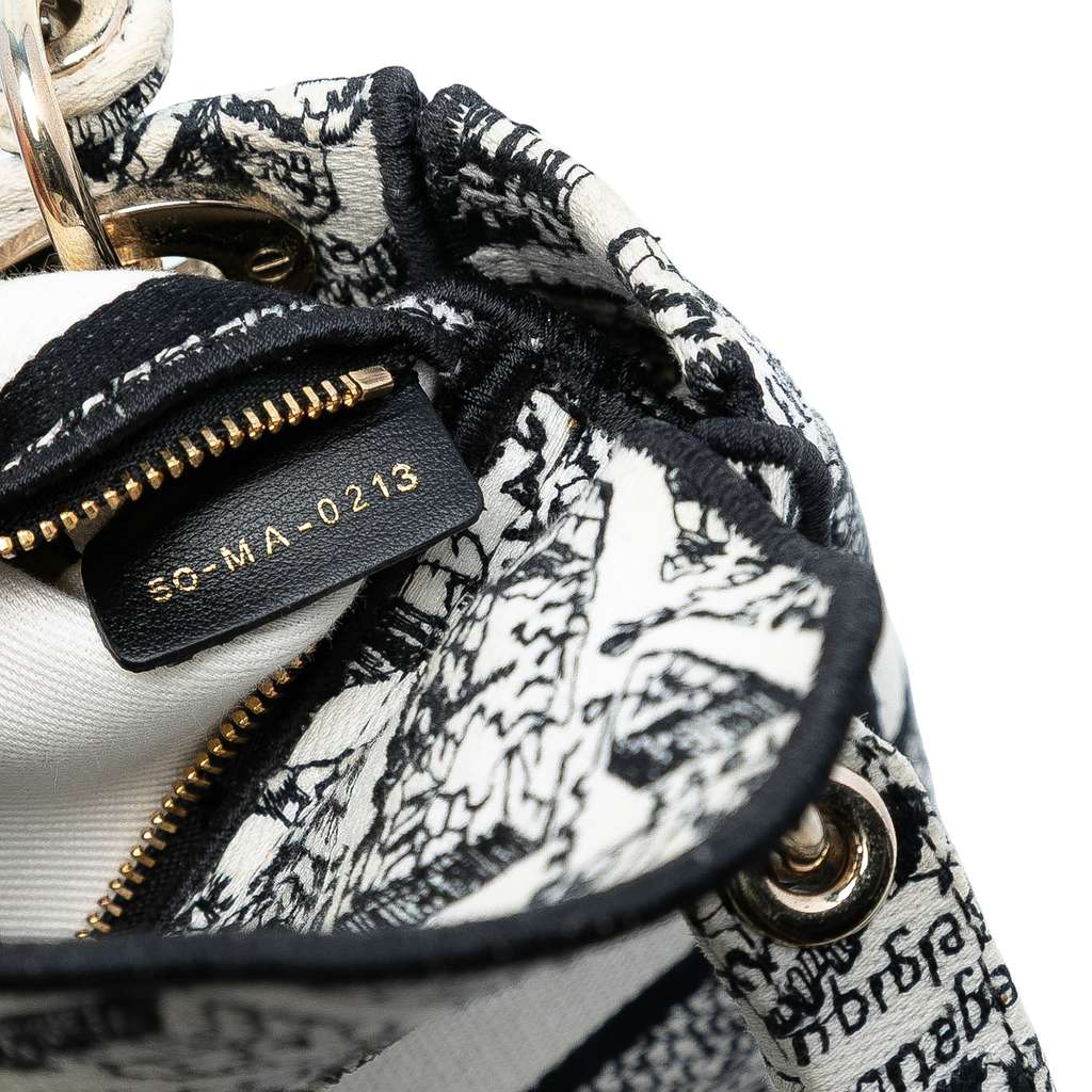 Dior Mini Embroidered Canvas Plan de Paris Lady D Lite - 5