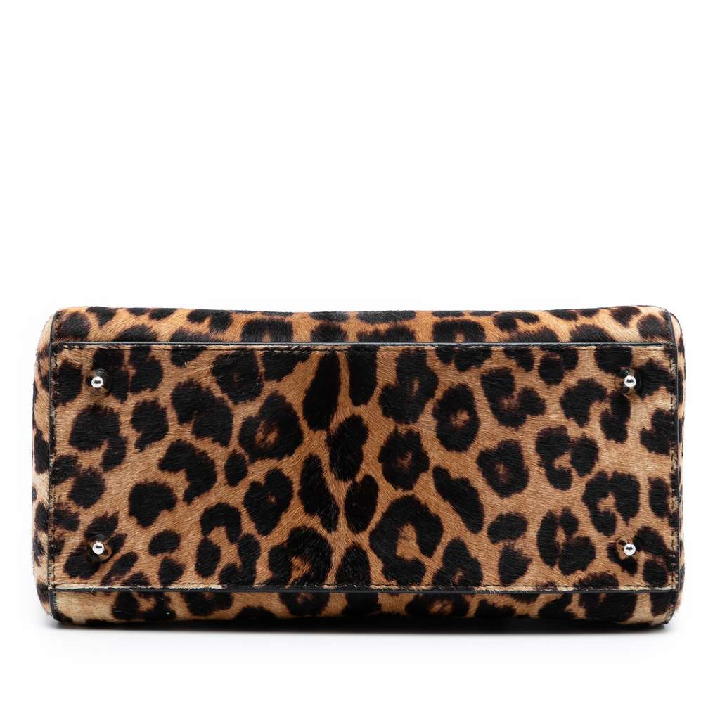 Dior Medium Pony Hair Leopard Print Lady Dior - 3