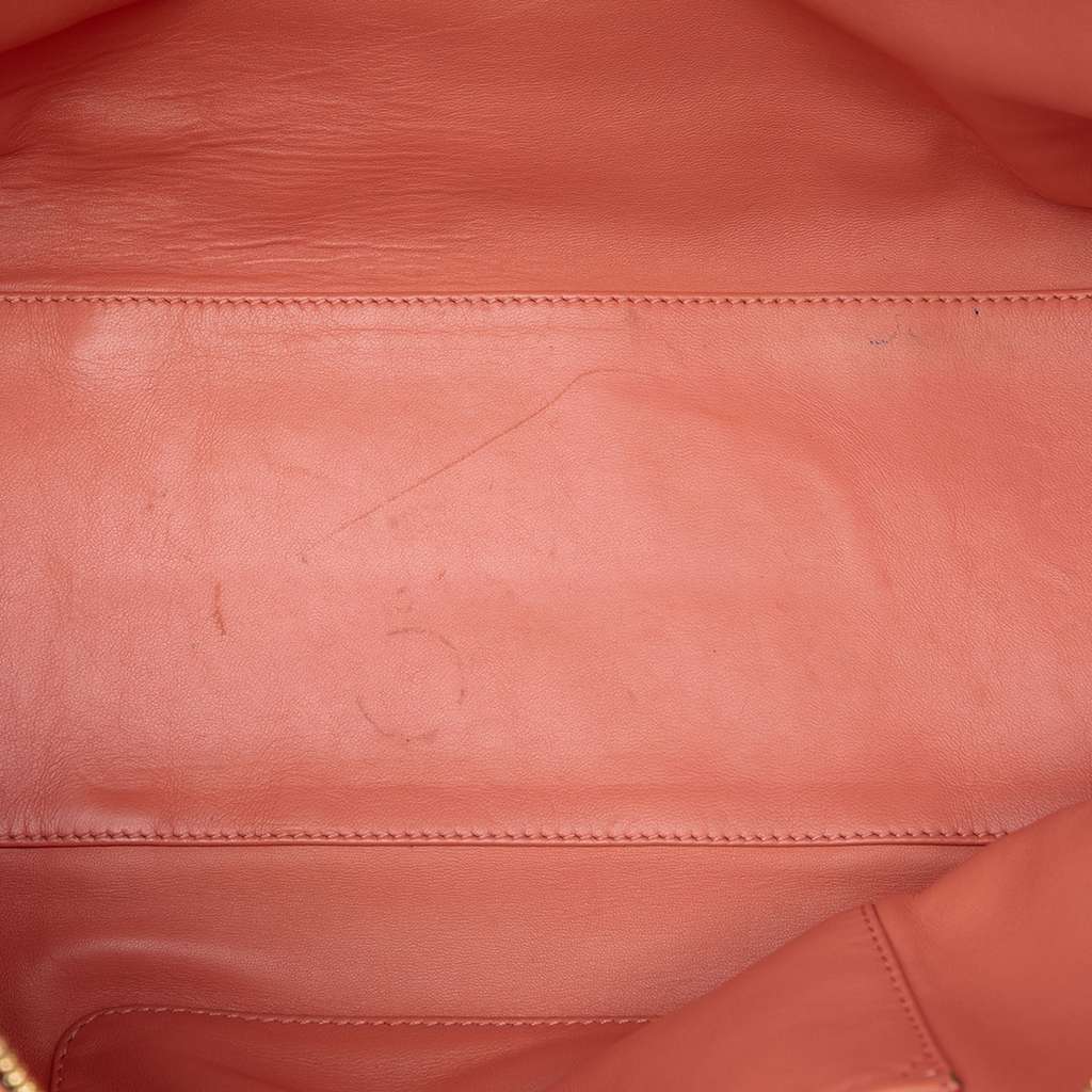 Loewe Limited Edition Leather Bull Charm Amazona 36 - 4