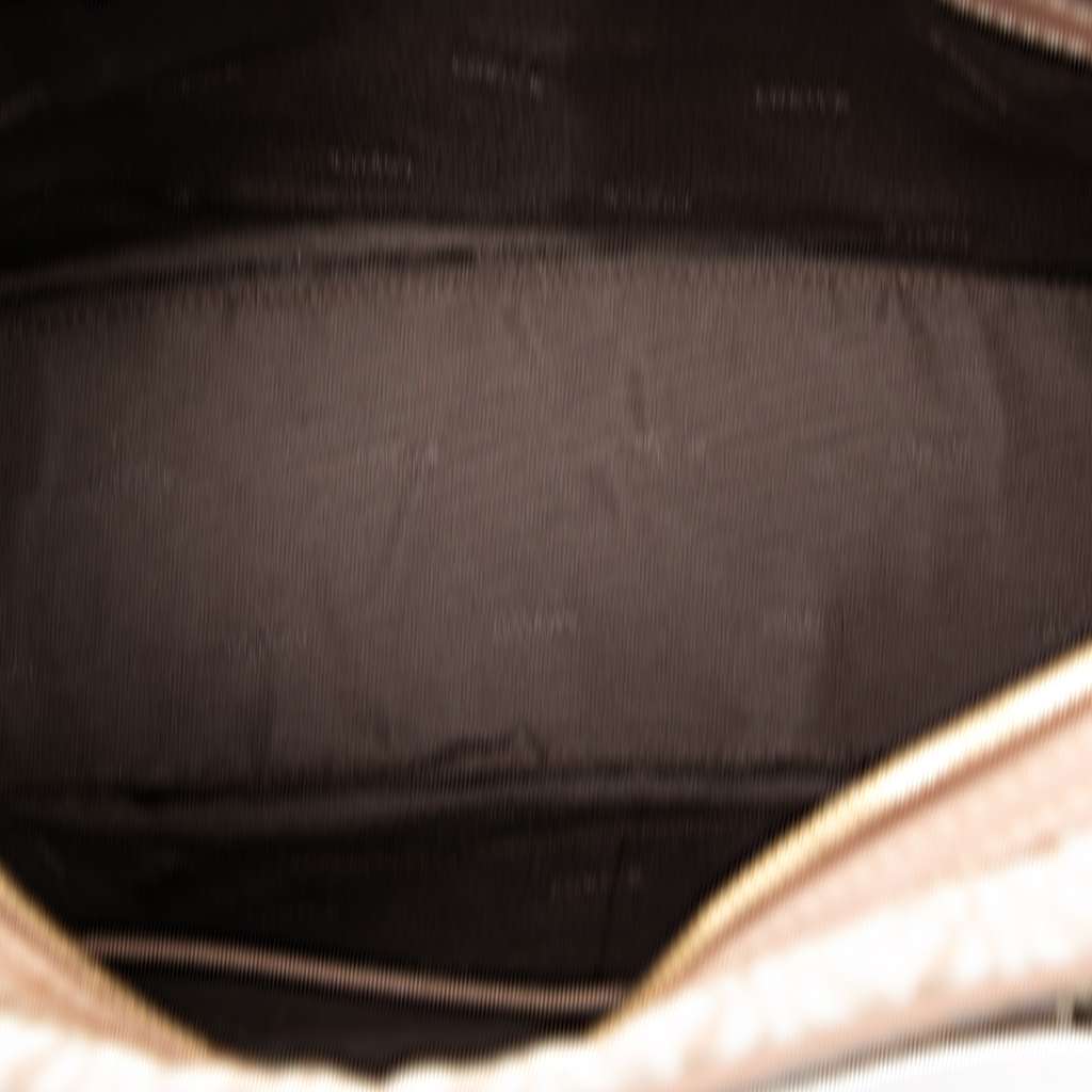 Loewe Anagram Canvas Handbag - 4